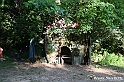 VBS_4944 - Il bosco fatato - Montaldo Roero